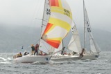 making waves 1696c ss09 sat rmc 8756